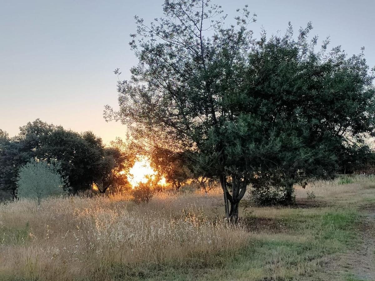 Вилла Casa Rural Camino Del Alentejo Ла-Кодосера Экстерьер фото