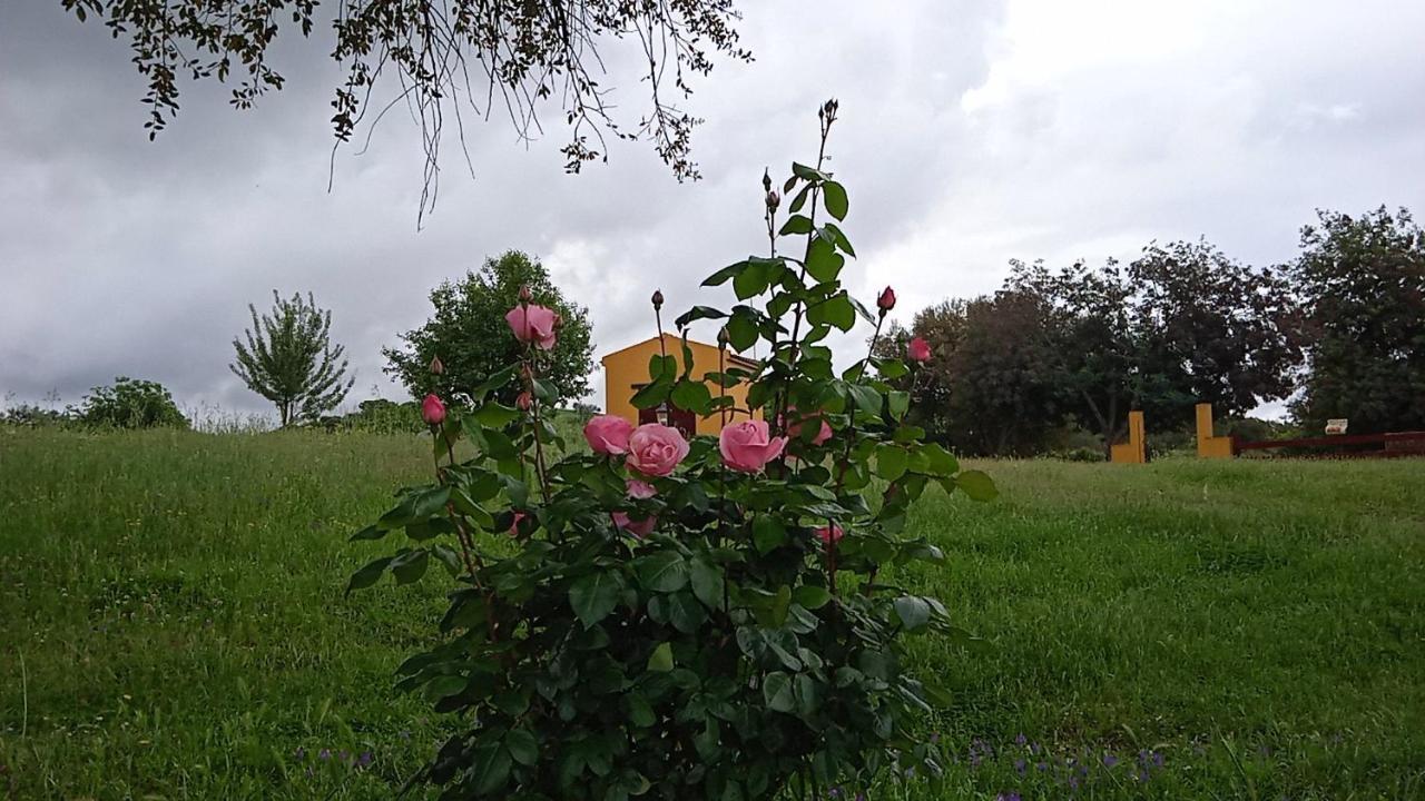Вилла Casa Rural Camino Del Alentejo Ла-Кодосера Экстерьер фото