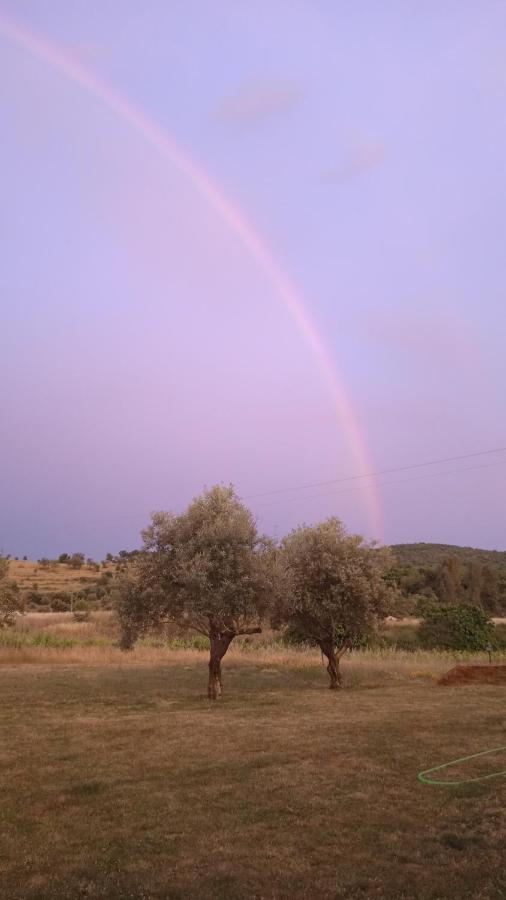 Вилла Casa Rural Camino Del Alentejo Ла-Кодосера Экстерьер фото