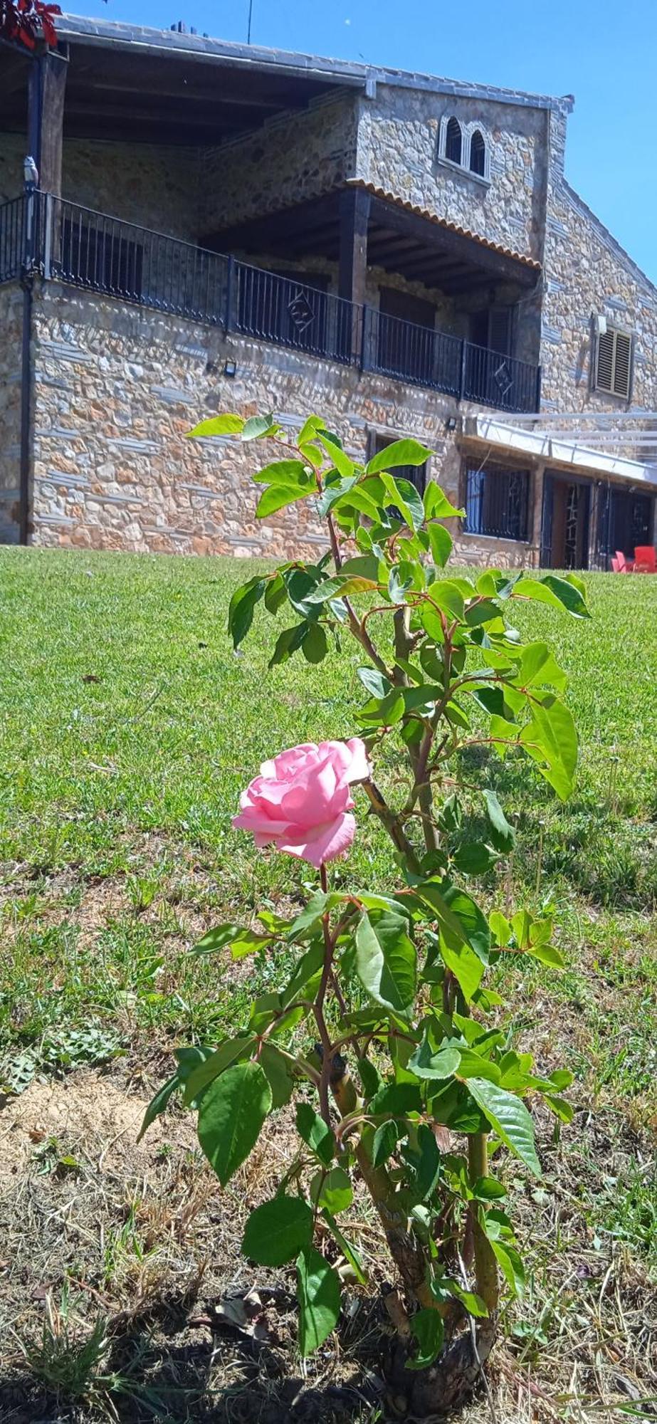 Вилла Casa Rural Camino Del Alentejo Ла-Кодосера Экстерьер фото