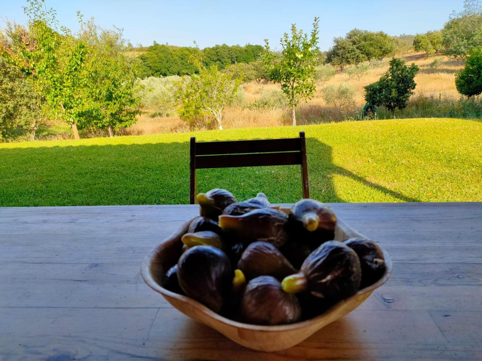 Вилла Casa Rural Camino Del Alentejo Ла-Кодосера Номер фото